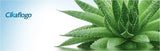 cikaflogo-aloe-vera-banner