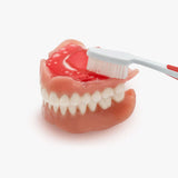 Zahnprothese und DinaBase7 reinigen