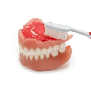 Denture with DinaBase7 can be cleaned daily with a toothbrush